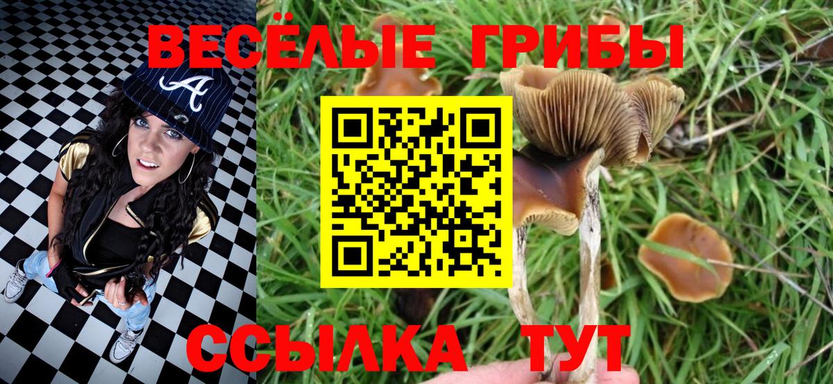 Галлюциногенные грибы прущие грибы Камень-на-Оби