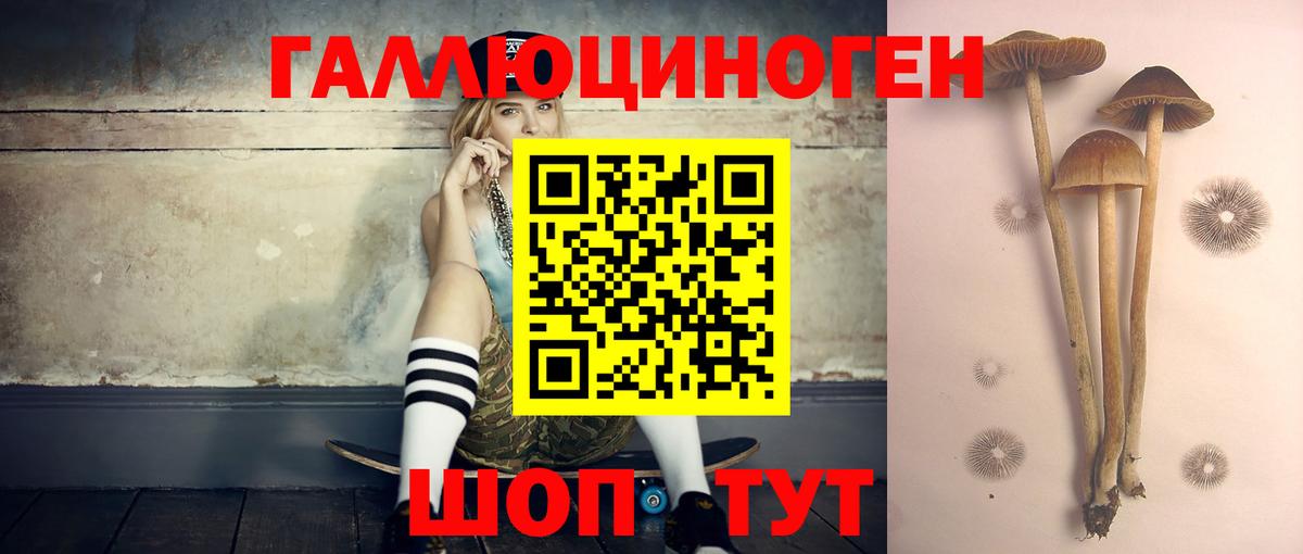 Камень-на-Оби  Псилоцибиновые грибы мицелий  Галлюциногенные грибы Psilocybine cubensis  Вход с VPN 
